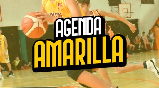 Agenda Amarilla