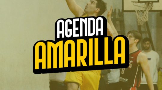 Agenda: semana del 28 de noviembre al 3 de diciembre