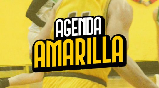 Agenda: semana del 13 al 20 de noviembre